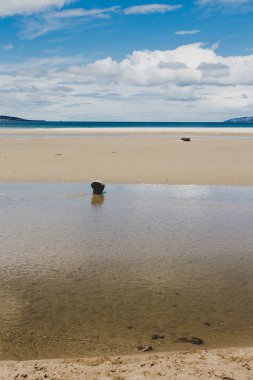 Tazmanya 'daki el değmemiş Avustralya kıyıları ve plaj manzarası