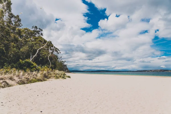 Prístino paisaje costero y de playa australiano en Tasmania — Foto de Stock