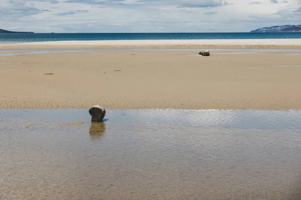 pristine Australian coastline and beach landscape in Tasmania