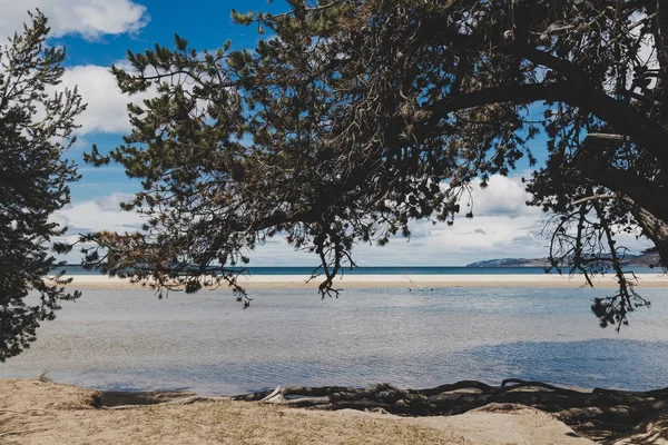 Australische Strandlandschaft mit Ästen im Vordergrund — Stockfoto