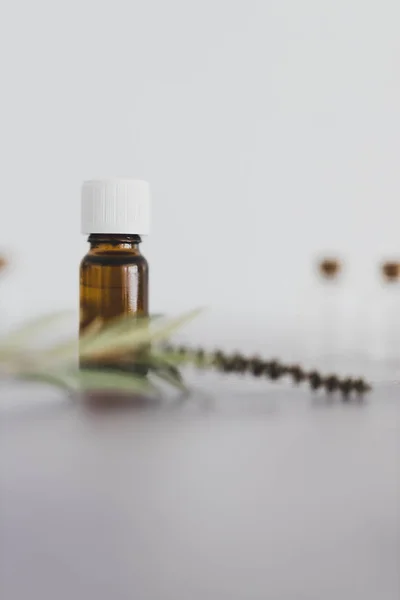 Natural beauty and wellness, essential oil bottle with tiny bran — Stock Photo, Image