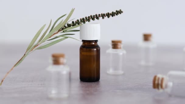 Wellness Concept Essential Oil Bottle Tiny Branch Leaves Other Bottles — Stock Video