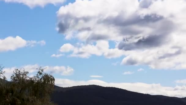 ウェリントン山上空のタスマニアで撮影された雲の通過と天候の変化の経過は 早い秋の日にクナニとも呼ばれます — ストック動画