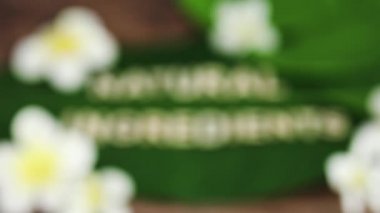 Güzellik endüstrisi ve etik vegan ürünler kavramsal natürmort, tropikal muz yaprağıyla ilgili monoi frangipani çiçekleri ile ilgili Doğal İçindekiler mesajı, görüntü bulanıklıktan odak noktasına doğru gidiyor.