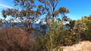 Boronia sahilindeki doğal manzara ve Derwent Nehri 'nin berrak suları ve güzel sahil şeridi boyunca yürüme yolu boyunca.