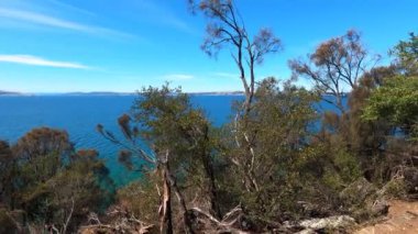 Derwent Nehri 'nin berrak suları ve güzel sahil şeridi ile Boronia Sahili' ndeki doğal manzara manzarası