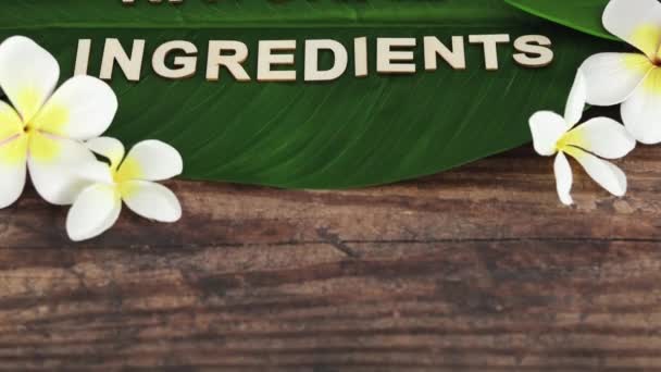 Industria Belleza Productos Veganos Éticos Bodegón Conceptual Ingredientes Naturales Mensaje — Vídeo de stock