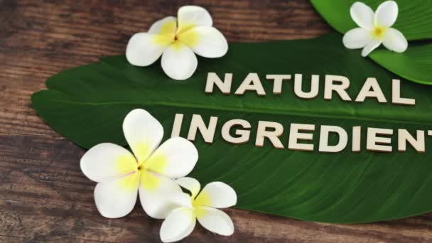 Przemysł Kosmetyczny Etyczne Wegańskie Produkty Koncepcyjne Martwa Natura Natural Ingredients — Wideo stockowe
