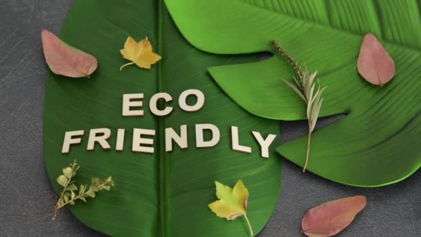 生態系と環境への敬意概念的な静物 熱帯バナナとモンスターの葉の上の環境に優しいテキスト 焦点から焦点から焦点へと向かうイメージ — ストック動画