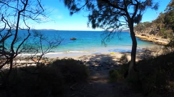 Hobart Tasmania Şubat 2020 Boronia Sahilindeki Doğal Manzara Derwent Nehri — Stok video