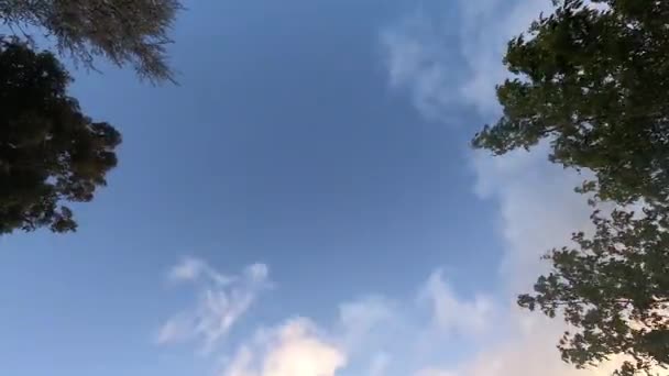 Céu Tarde Para Noite Timelapse Céu Azul Com Nuvens Passando — Vídeo de Stock