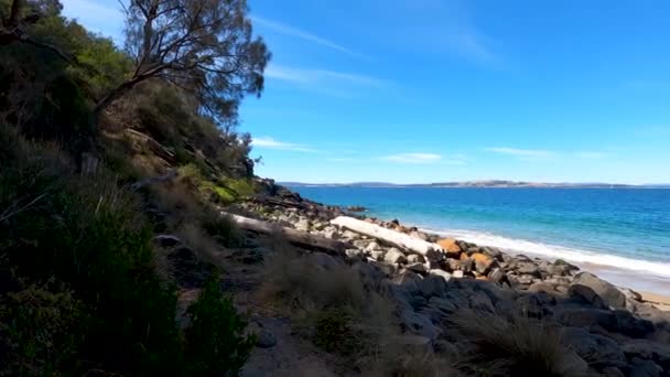 Hobart Tasmania Şubat 2020 Boronia Sahilindeki Doğal Manzara Derwent Nehri — Stok video