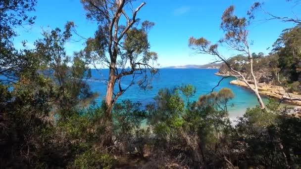 Hobart Tasmania Şubat 2020 Boronia Sahilindeki Doğal Manzara Derwent Nehri — Stok video