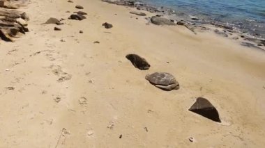 Vahşi Tazmanya manzarası ve Derwent Nehri 'nin el değmemiş turkuaz suyu Hobart' ın güneyindeki Coningham sahilinin yakınlarındaki Legacy Sahili 'nden görüldüğü gibi.