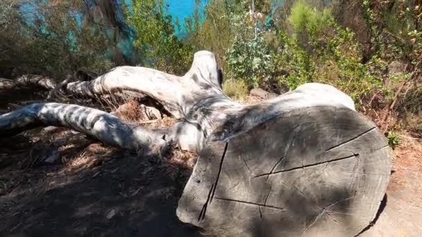 Vista Paisagem Natural Longo Pista Caminhada Boronia Beach Com Água — Vídeo de Stock