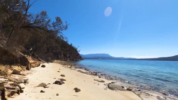 Jogszabályok Beach Tasmania 2020 Február Vad Tasmán Táj Derwent Folyó — Stock videók
