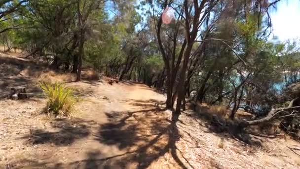 Zerklüfteter Buschwanderweg Mit Blick Auf Die Naturlandschaft Boronia Strand Mit — Stockvideo