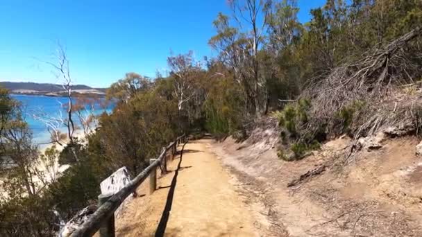 Selvaggio Paesaggio Della Tasmania Acque Turchesi Incontaminate Del Fiume Derwent — Video Stock