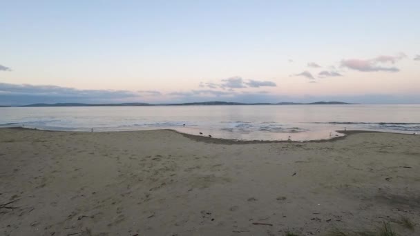 Сутінки Пляжі Тасманії Холодний Осінній День Біля Гобарта — стокове відео