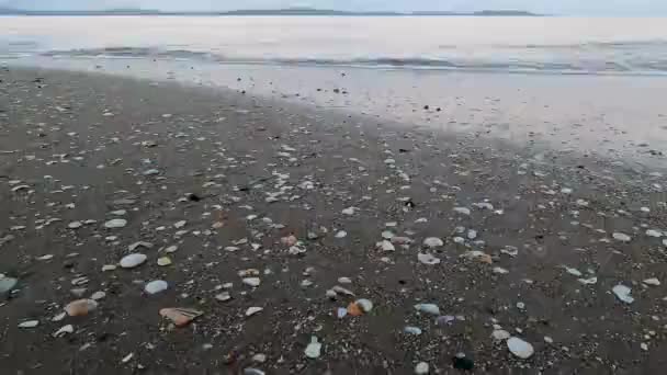 Olas Del Océano Golpeando Cámara Atardecer Playa Tasmania Frío Día — Vídeos de Stock