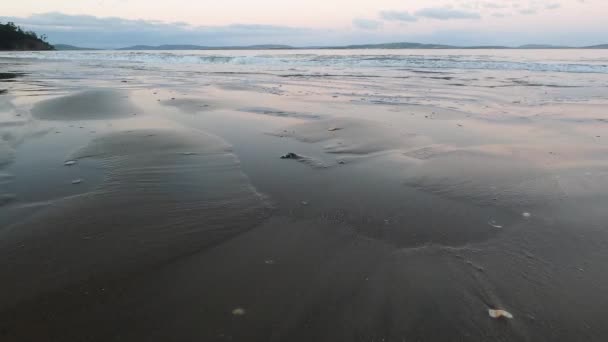 Skymning Stranden Tasmanien Kylig Höstdag Med Havsvågor Som Rör Sig — Stockvideo