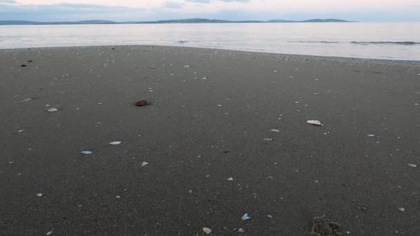 Crepúsculo Praia Tasmânia Dia Frio Outono Com Ondas Oceano Movendo — Vídeo de Stock