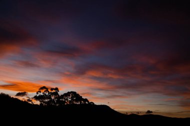 Günbatımı gökyüzü güzel pembe bulutlarla Tazmanya, Avustralya tepelerinde yuvarlanıyor.