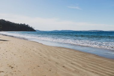 Güzel, el değmemiş Tazmanina plajı, sakin mavi gökyüzü, bir kış sabahı.