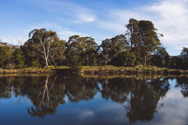 Tasmanian landscape of the Browns River with eucalyptus gum trees reflected on the water and with contrasty sky clipart