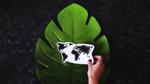 Идеи Экологии Ручной Размещения Лампочки Карты Мира Вершине Тропического Листа — стоковое видео