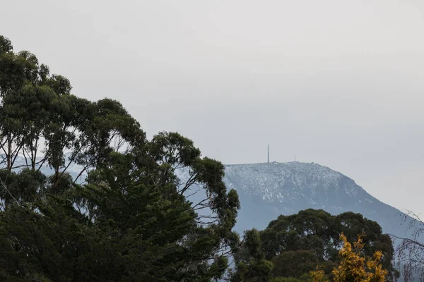 Mooie Vegetatie Met Gemengde Kleuren Herfstblad Heuvels Van Tasmanië Australië — Stockfoto