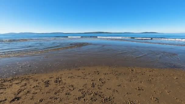 Красивый Тасманийский Пляж Морской Пейзаж Кингстон Бич — стоковое видео