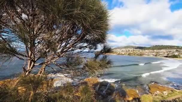 Красивый Тасманийский Морской Пейзаж Заливе Блэкманс Зимой — стоковое видео