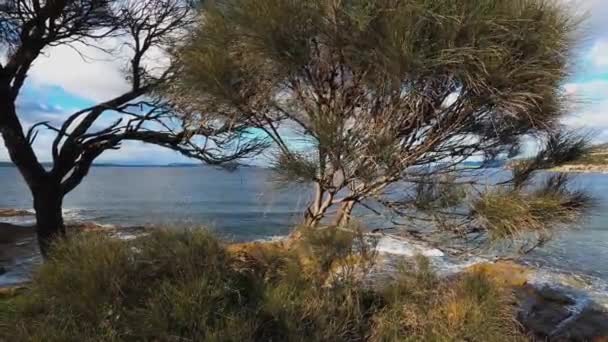 Prachtig Tasmaanse Kustlandschap Blackmans Bay Winter — Stockvideo