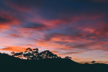 Günbatımı gökyüzü Tazmanya, Avustralya tepelerinde yuvarlanan güzel bulutlarla ve ön planda okaliptüs ağacı siluetleri ile