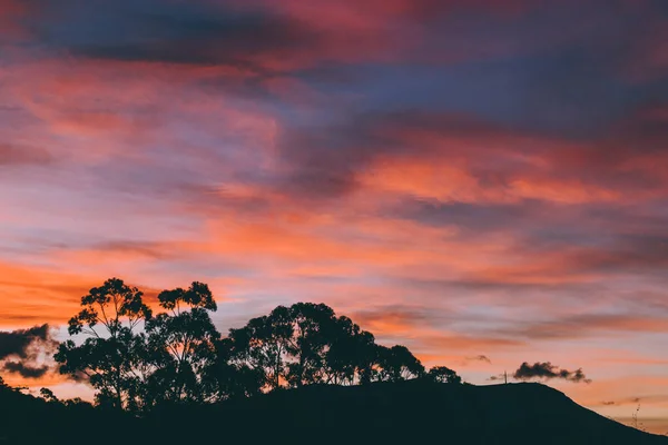 夕阳西下的天空 美丽的云彩在澳大利亚塔斯马尼亚的山丘上翻滚 前景是桉树的轮廓 — 图库照片