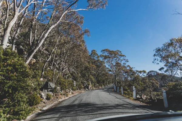 Belle Route Entourée Grands Eucalyptus Buissons Australiens Tout Remontant Mont — Photo