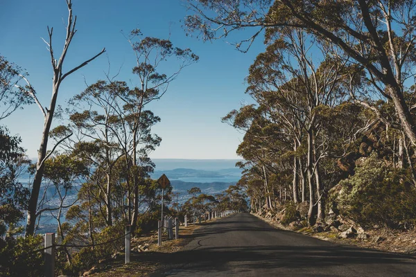 태즈메이니아의 웰링턴 쿠라니 오르는 유칼립투스 고무나무와 오스트레일리아의 숲으로 둘러싸인 아름다운 — 스톡 사진