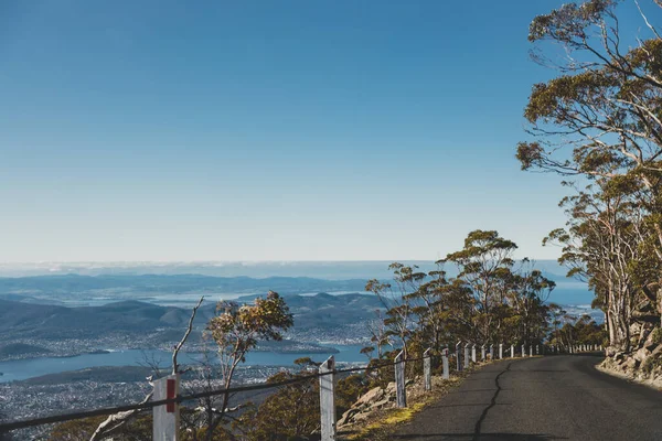 Krásná Silnice Obklopená Vysokým Eukalyptem Žvýkaček Australským Keřem Země Při — Stock fotografie
