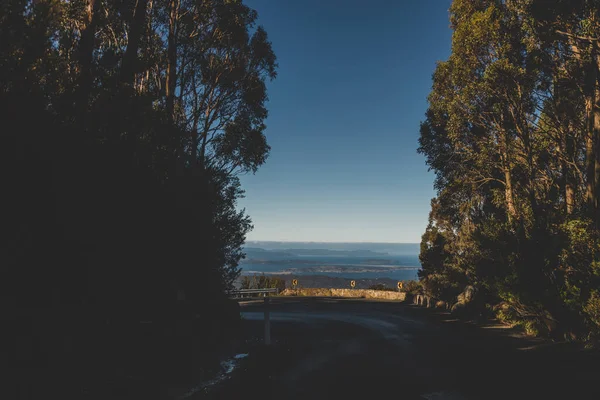 Hermoso Camino Rodeado Eucalipto Alto Árbol Goma Arbustos Australianos Mientras — Foto de Stock