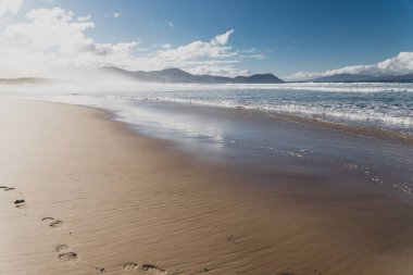 Tazmanya 'nın Marion Körfezi' nde el değmemiş, el değmemiş bir Avustralya plajı.