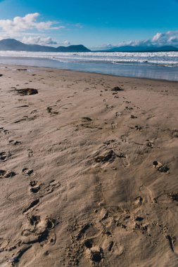 Tazmanya 'nın Marion Körfezi' nde el değmemiş, el değmemiş bir Avustralya plajı.