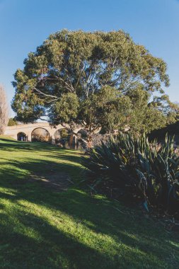 RICHMOND, 17 Temmuz 2020: Güneşli bir kış gününde Tazmanya 'daki Richmond Köprüsü' nde insanların tarihi yapıyı ziyaret etmesinin keyfini çıkardıkları tarihi eser listesindeki köprü.