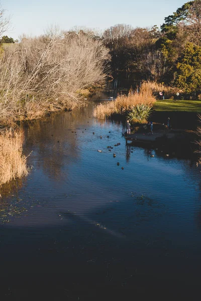 Richmond Juli 2020 Het Richmond Bridge Gebied Tasmanië Een Zonnige — Stockfoto