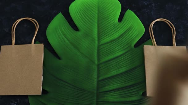 Екологічний Вибір Концепція Екологічної Обізнаності Ручне Розміщення Паперового Мішка Етикеткою — стокове відео