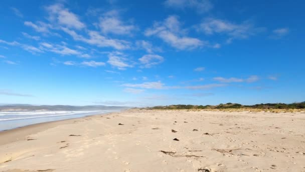 Dziewicza Nietknięta Australijska Plaża Marion Bay Tasmanii Oceanem Majestatycznym Wyglądającym — Wideo stockowe