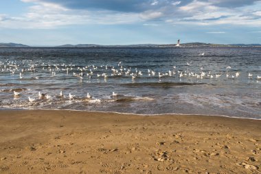 Tazmanya, Avustralya 'daki Güney Hobart' ta güneşli bir kış gününde Blackmans Körfezi plajı.