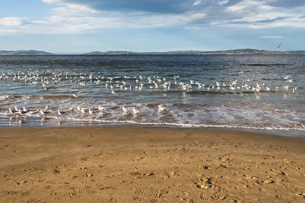 澳大利亚塔斯马尼亚南霍巴特阳光明媚的冬日 布莱克曼斯湾海滩 — 图库照片