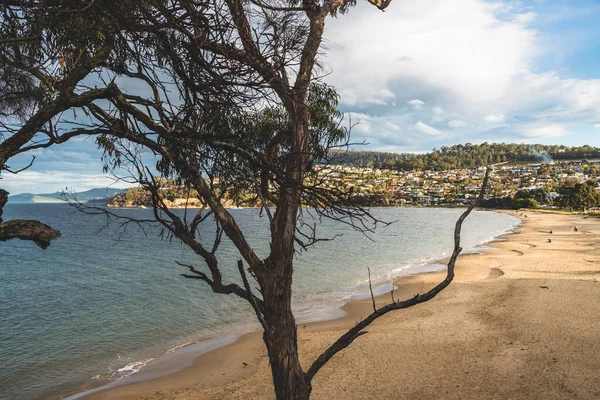 Hobart Tasmania August 1Stt 2020 Blackmans Bay Beach Sunny Winter — Stock Photo, Image