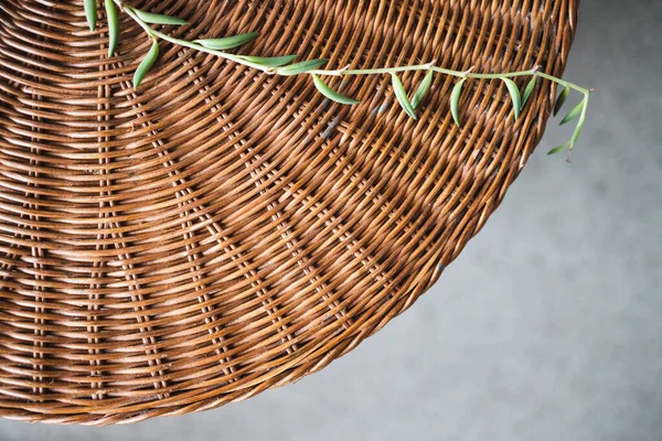 stock image close-up of succulet plant on top of rattan table indoor shot at shallow depth of field